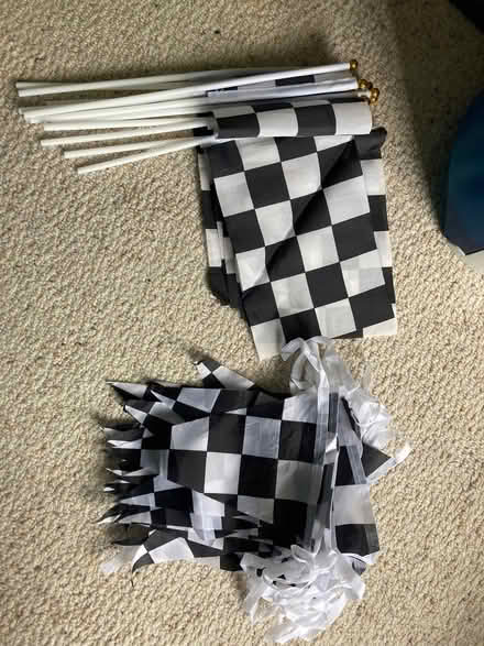 Photo of free Racing flags and bunting (Whitemans Green RH17) #2