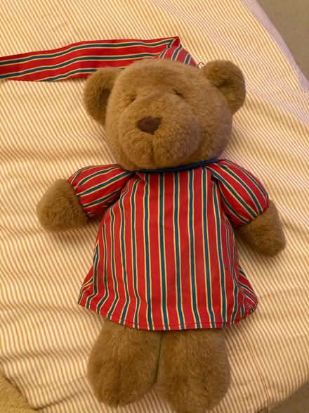 Photo of free Teddy (Woking) #1