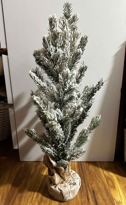 Photo of free Small plastic Christmas tree (Blackbird Leys OX4) #1