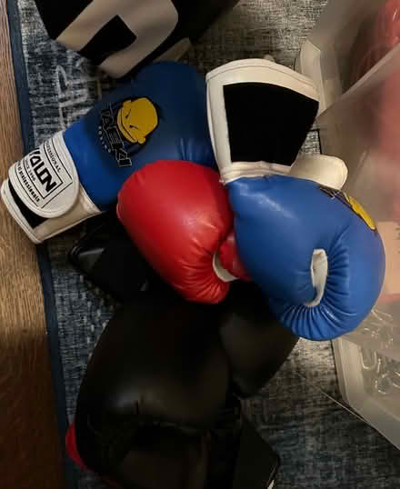 Photo of free Boxing Gloves and Punchbags (Brook Street CM14) #3