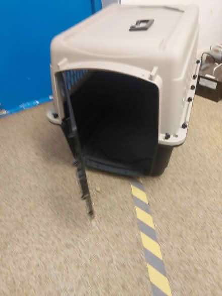 Photo of free Pet Carrier (Slough Central SL1) #3