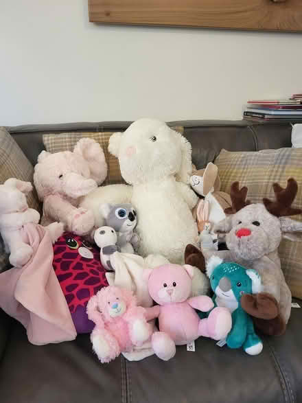 Photo of free Cuddly toys (Scotstoun, Glasgow) #1
