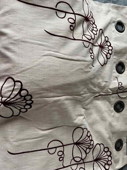 Photo of free Tab top curtains (Cleghorn ML11) #1