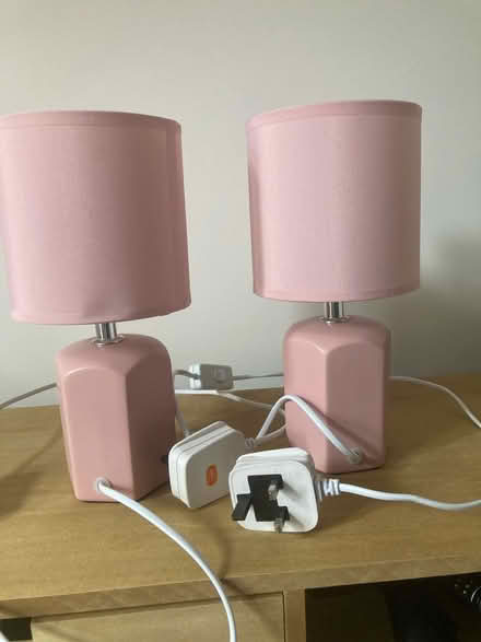 Photo of free 2 x lamps, pink (Hertford SG13) #1