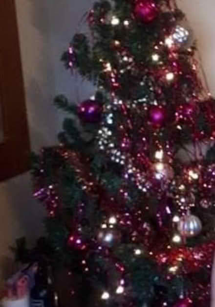 Photo of free Artificial real look xmas tree (DE56) #1
