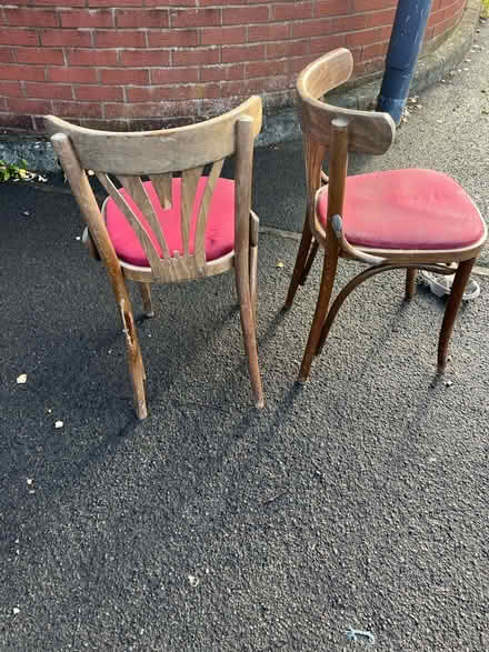 Photo of free Dining chairs (Horfield Bristol) #3