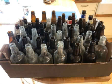 Photo of free Empty beer bottles for home brew (SG4 Hitchin) #2