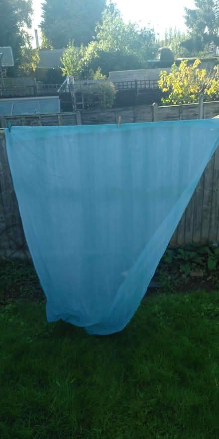 Photo of free Turquoise voile (B30 edge of Stirchley) #1