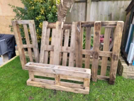 Photo of free 2 whole + 2x half pallets (SE6) #1