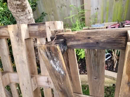 Photo of free 2 whole + 2x half pallets (SE6) #2