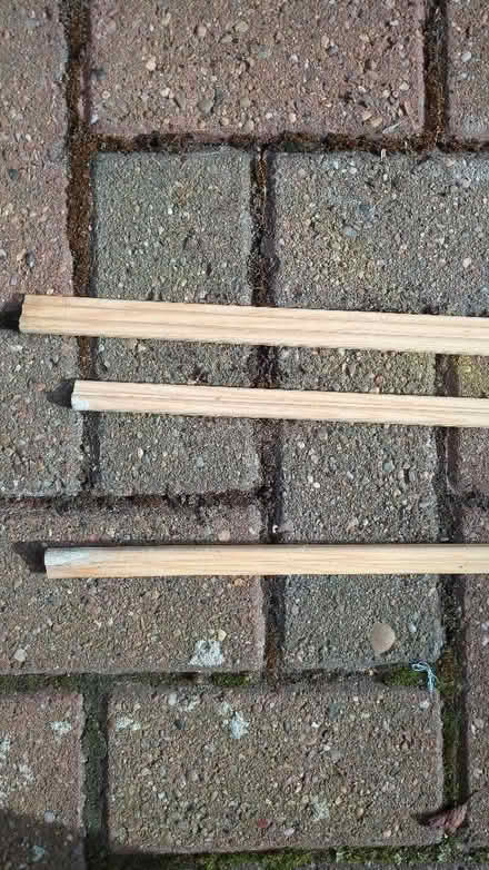 Photo of free Beading 3 lengths (Castle MK40) #1