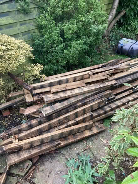 Photo of free Loads wood for bonfire (Hednesford WS12) #1