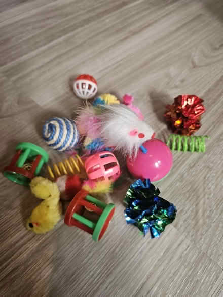 Photo of free A few small cat toys (Clapham Common) #1