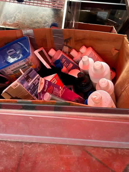 Photo of free Salt water tank (Sheraden (west end)) #4