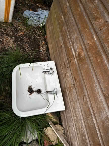 Photo of free basin (OX3) #1
