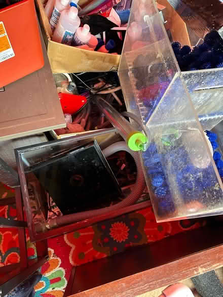 Photo of free Salt water tank (Sheraden (west end)) #2
