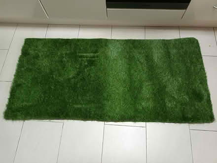 Photo of free Artificial Grass (AL4) #1
