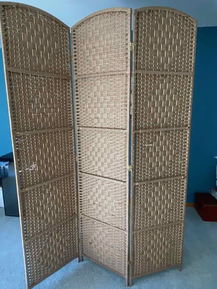 Photo of free Divider/privacy screen (North end of Sammamish) #1