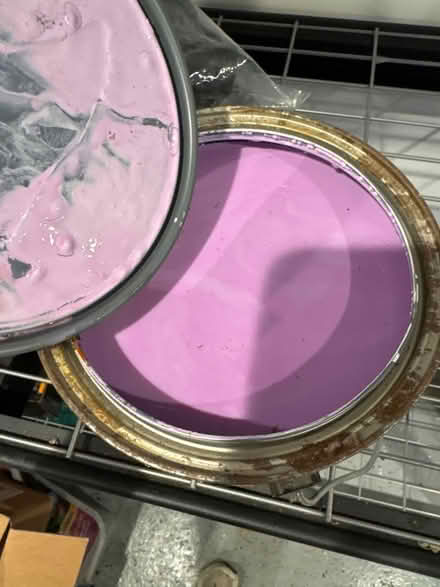 Photo of free Behr Paint - Fresh Heather (Newton Highlands south of Rt 9) #3