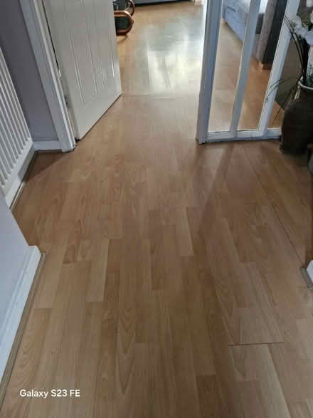 Photo of free Laminate flooring (DE14) #1