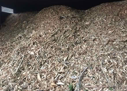 Photo of free Wood Chips Delivered - CLEAN MULCH (Lafayette) #1