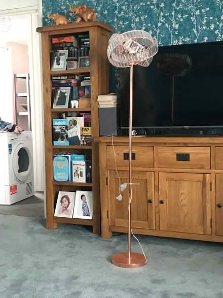 Photo of free Lamps/Ceiling Light (DA2) #2
