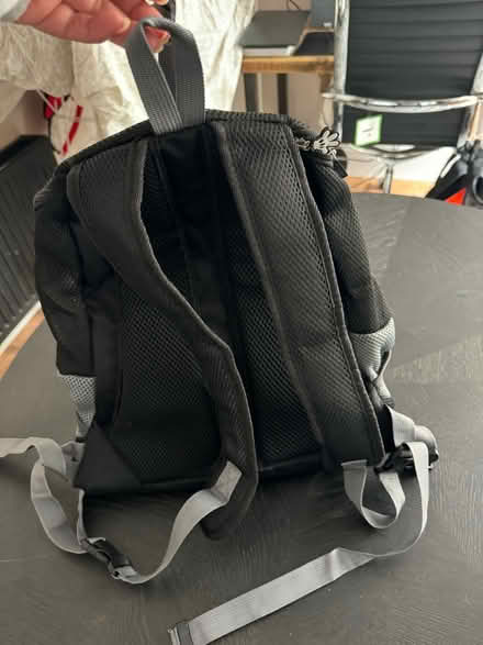 Photo of free Dog backpack (Bexley DA5) #1