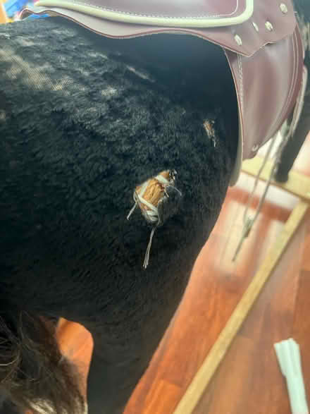 Photo of free Large Rocking Horse (Sevenoaks TN13) #4