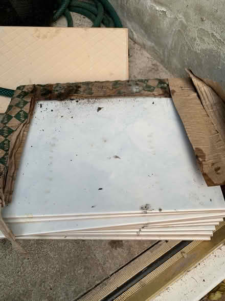 Photo of free White & Blue tiles (Durham DH1) #1