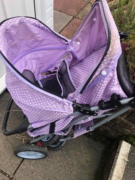 Photo of free Dog pushchair (Cwmbran, NP44) #1