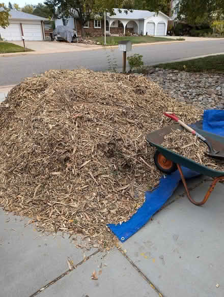 Photo of free mulch (Heatherwood, Boulder) #1