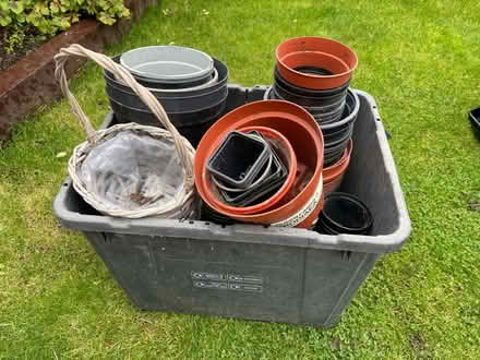 Photo of free Sooo many flower pots planting pots (RG2) #1