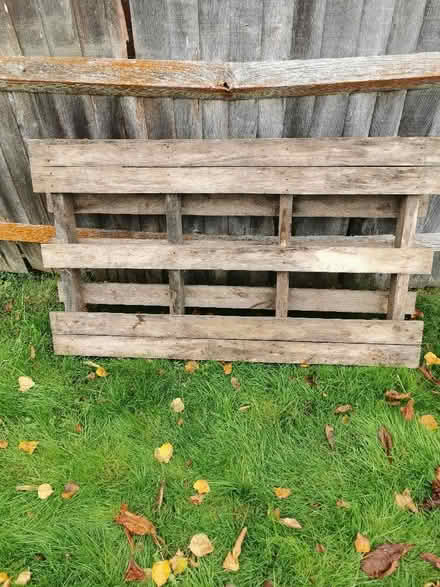 Photo of free Wooden pallet (Redhill RH1) #1