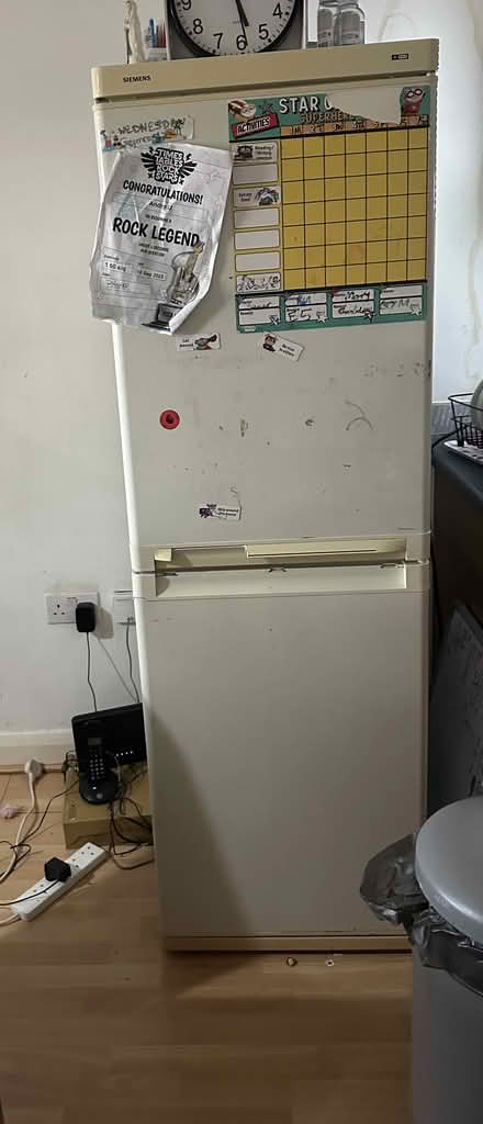Photo of free Tall fridge freezer (M15 near Webster sch) #1