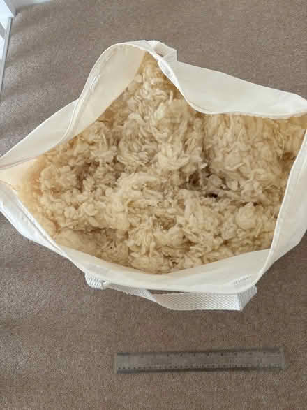 Photo of free Bag of sheeps wool (South Wootton, PE30) #1