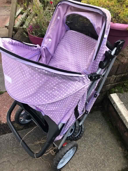 Photo of free Dog pushchair (Cwmbran, NP44) #2