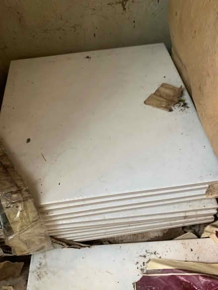 Photo of free White & Blue tiles (Durham DH1) #3