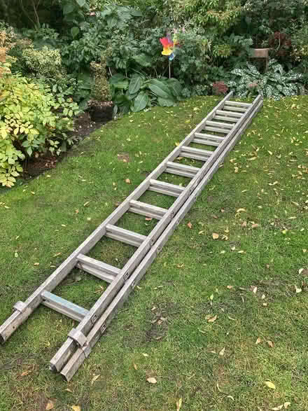 Photo of free Set of ladders (Heworth, York, YO31) #1