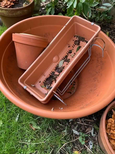 Photo of free Plant pots (Great Bourton, OX17) #1