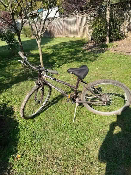 Photo of free Bike womens (Near Beltsville Academic Ctr) #1