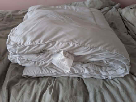 Photo of free Mattress Topper - Single Bed (Cumnor OX2) #2
