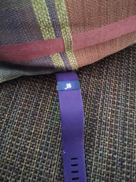 Photo of free Old Fitbit Charge HR (near Forest Glen Metro) #1