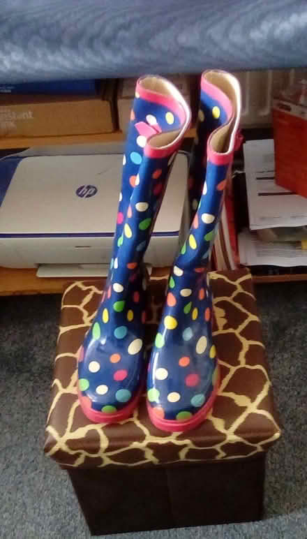 Photo of free Ladies Wellington Boots. (Cosham PO6) #1