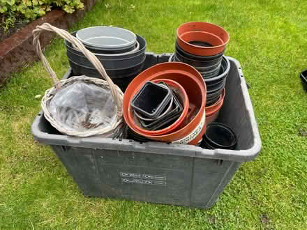 Photo of free Sooo many flower pots planting pots (RG2) #2