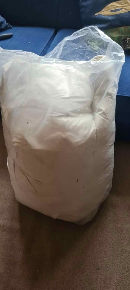 Photo of free Bean bag & inner fill of feathers (SW20) #2