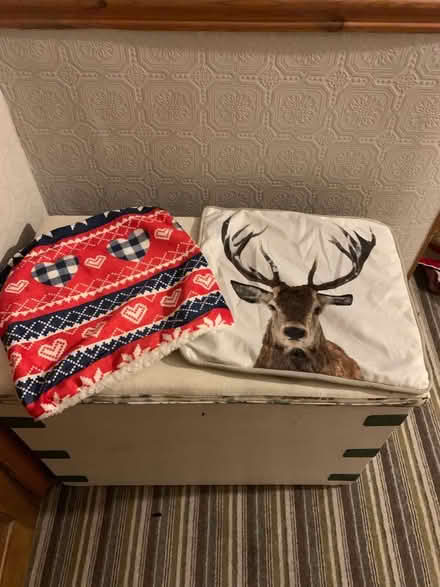 Photo of free Christmas cushions/covers (Oxton CH43) #2