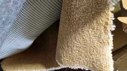 Photo of free Beige Short Pile Carpet (Potters Bar EN6) #4