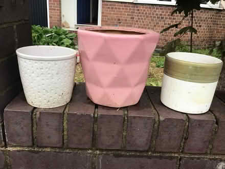 Photo of free 3 plant pots (Henleaze BS9) #1
