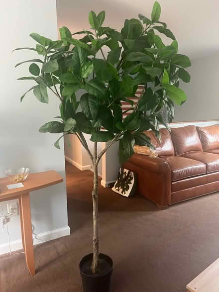 Photo of free Artificial Tree (Herndon) #1