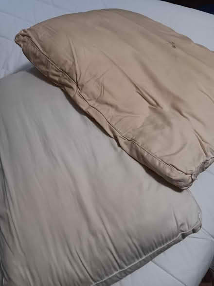 Photo of free Two old pillows (Columbia Heights) #1